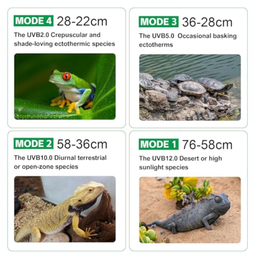 Lampu UVB untuk Reptil dengan  - Gecko Lighting & Decor ulasan dan harga