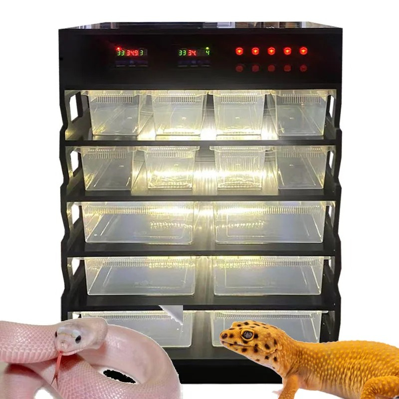 Perlengkapan Reptil PVC Cerdas - Gecko Lighting & Decor ulasan dan harga